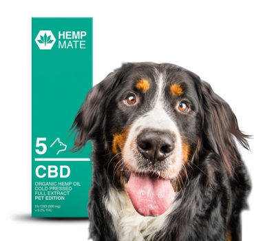 HempMate CBD-PET 5% CBD Öl für Hunde , Tiere